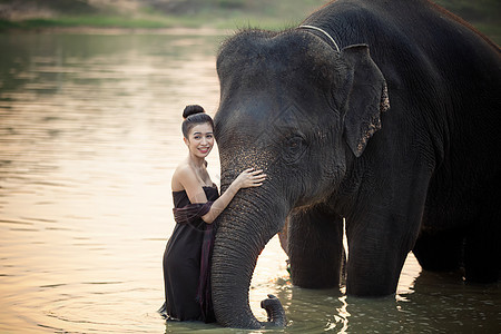 亚洲精神 泰国乡村农夫和大象在日出的背景下 亚洲文化象牙农场生活旅游农民农村森林荒野农业动物图片