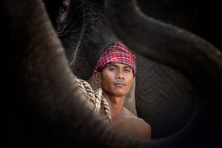 亚洲精神 泰国乡村农夫和大象在日出的背景下 亚洲文化冒险农场阴影旅行荒野国家象牙农民哺乳动物旅游图片