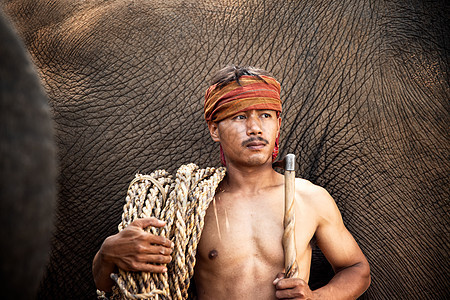 亚洲精神 泰国乡村农夫和大象在日出的背景下 亚洲文化象牙女士天空森林旅游动物农村丛林记录环境图片