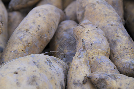 甜土豆在市场摊卖淀粉生产小吃摊位农业食物番薯胡椒美食块茎图片
