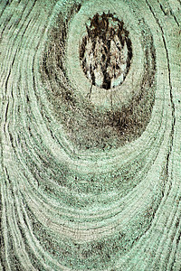 切割树干环纹理森林条纹棕色绿色木材生长材料木匠同心圆圈图片