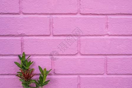 astel 粉色有序砖墙纹理背景房子地面长方形石头水泥建筑学石工墙纸岩石房间图片