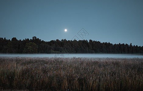 雾中覆盖森林小路墙纸木头黑暗薄雾射线月光天气月亮戏剧性图片