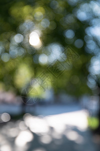 街道的散焦图像胡同阳光草地城市叶子公园绿色花园场地太阳图片