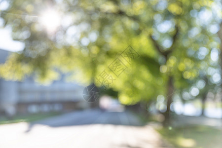 街道的散焦图像绿色场地城市草地花园公园叶子墙纸胡同阳光图片