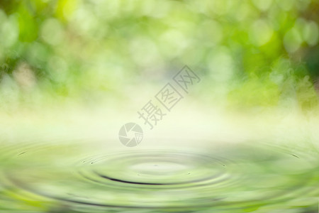 花与水滴素材在水中坠落 有波纹 浅绿色的bokeh背景背景