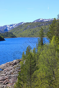 挪威夏季风景松树岩石顶峰绿色森林爬坡国家蓝色石头峡湾图片