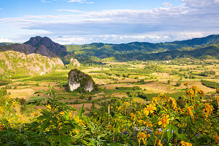 风景 泰国Phayao的Phu Lang Ka美丽的日出旅行荒野阳光假期爬坡森林季节蓝色天空公园图片