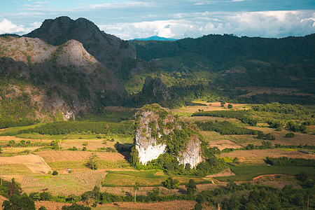 风景 泰国Phayao的Phu Lang Ka美丽的日出薄雾森林天空爬坡荒野太阳阳光季节旅行公园图片