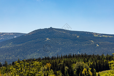 Karkonosze巨山全景 在的树木上方公园高山踪迹远足游客风景旅行假期顶峰山脉图片