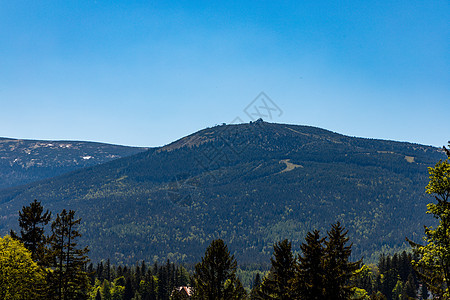 Karkonosze巨山全景 在的树木上方旅行高山雪山公园游客天空远足顶峰森林旅游图片