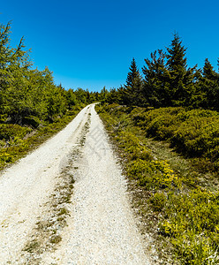 杰泽拉山脉长山长的山道 周围有高树树木衬套公园山脉灌木丛天空旅行风景石头蓝天图片