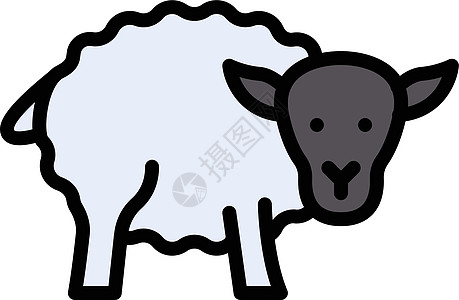 绵羊农场山羊网络荒野羊毛绘画羊肉乡村黑色插图图片