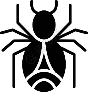 蜘蛛夹子白色黑色害虫艺术漏洞网络昆虫插图风险图片