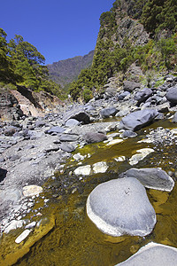 国家公园 加那利群岛 西班牙旅游野生动物火山生物环境溪流风景生态地质学岩石图片