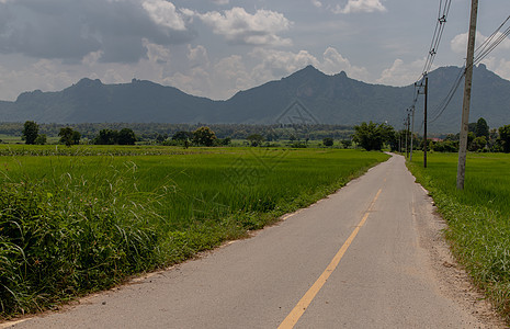 清空直通村庄的公路 边上有风景热带植物村庄爬坡农场场地土地环境蓝色旅行图片