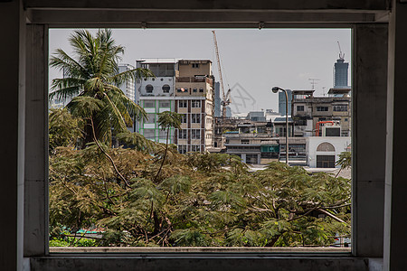 曼谷建筑物和大树的景象建筑窗户商业城市旅游房子场景框架摩天大楼天空图片