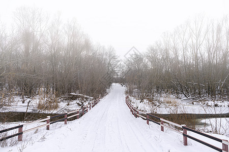 在雪覆盖的森林中横渡河流的冬季道路途径天桥天空天气季节行人公园蓝色地球木头图片