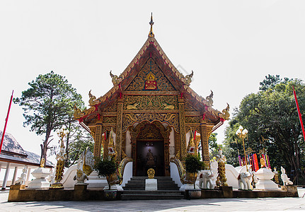 泰山寺建筑学文化风格建筑寺庙金子旅游雕塑历史性天空图片