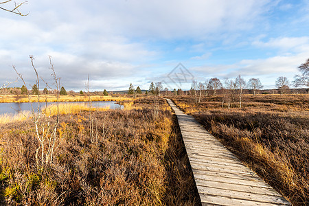 板路认为比利时高方济各的荒地旅行农村远足木头天空运动草地高分沼泽环境图片