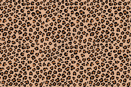 豹纹无缝图案 野生动物印花 矢量非洲迷彩皮肤 illusratio荒野插图动物园皮革猎豹猫科织物打印墙纸动物图片