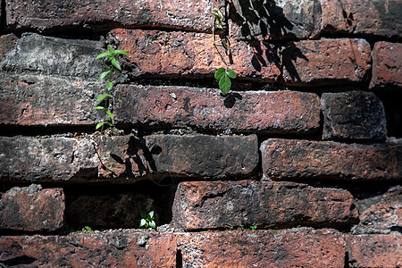 开裂的混凝土复古砖墙背景建筑学历史性水泥废墟石墙遗产艺术瓦砾历史损害图片