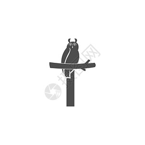 字母 T 标志图标与猫头鹰图标设计 vecto图片