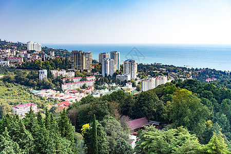 每年秋天 热带度假胜地的城市风景一片城市景观图片