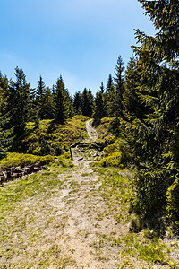 杰泽拉山脉长山长的山道 周围有高树树木天空衬套旅游蓝天灌木丛蓝色森林踪迹山脉图片