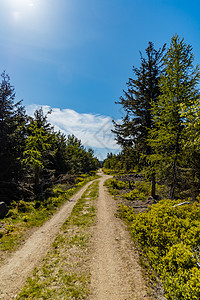 杰泽拉山脉长山长的山道 周围有高树风景踪迹天空树木旅游蓝色衬套石头小路山脉图片