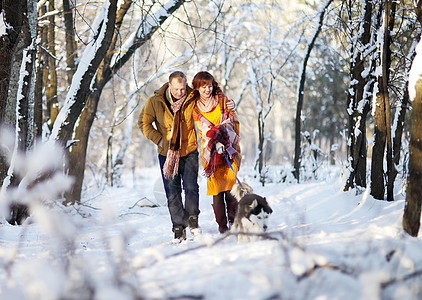 年轻夫妇在冬季公园笑笑和玩得开心 带着他们的哈斯基狗乐趣家庭微笑朋友毛衣女孩宠物动物树木友谊图片