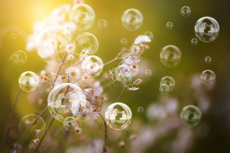 柔软小花朵背景图片