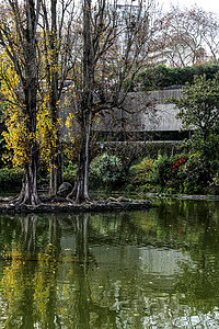里斯本带湖的叶子花园树枝旅行树林观光生长院子旅游森林植物季节图片
