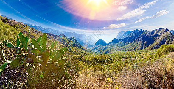 西班牙的景色山谷 自然景观图片