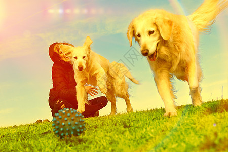 宠物和狗 训练和教育狗 同伴宠物概念日落公园跑步男人猎犬犬类培训动物友谊姿势图片