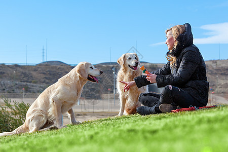 宠物和狗 训练和教育狗 同伴宠物概念朋友日出培训犬类男人猎犬动物公园小狗城市图片