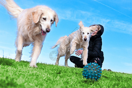 宠物和狗 训练和教育狗 同伴宠物概念天空日落姿势日出跑步友谊小狗城市培训乐趣图片