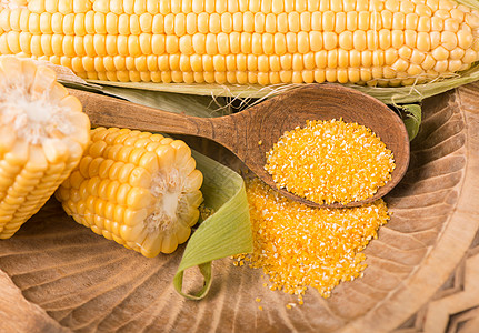 白色背景的绿色叶子生玉米饮食农业烹饪桌子谷物植物解雇食物棒子粮食图片