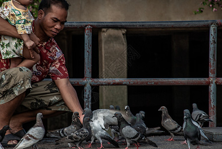 一个亚洲人和婴儿 晚上喂了很多鸽子 在非塔胡里码头飞来飞去环境社论男人图片