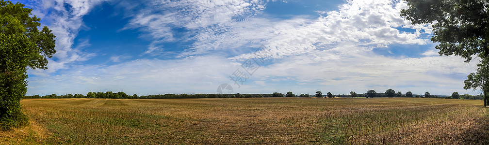 在丹麦和德国发现的地貌景观的美丽高分辨率全景 田野和绿草都可见于此农田地平线阳光草原天空公园国家农场树木场地图片