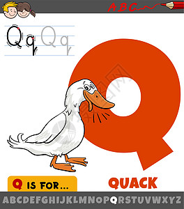 字母表中的字母 Q 与嘎嘎鸭声图片