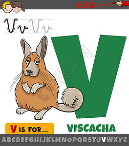 带有卡通 viscacha 动物特征的字母表中的字母 V图片