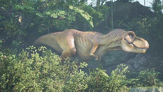 霸王龙恐龙在绿色的史前丛林中慢慢爬上它的猎物 在阳光明媚的早晨欣赏绿色的史前丛林 3D 渲染野生动物生态灭绝力量动物古生物学危险图片