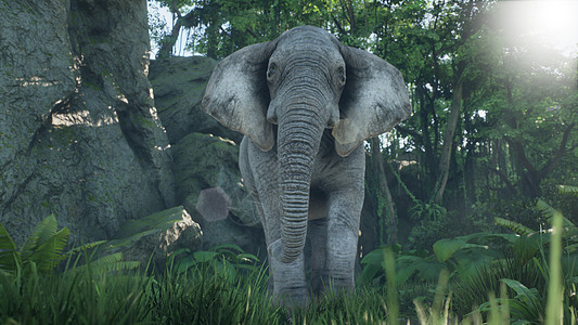 一头灰色的非洲象在清晨穿过绿色的丛林 看看非洲丛林 3D 渲染家庭哺乳动物相机公园大草原野生动物树干象牙动物荒野图片