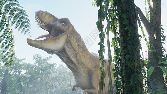 霸王龙恐龙在绿色的史前丛林中慢慢爬上它的猎物 在阳光明媚的早晨欣赏绿色的史前丛林 3D 渲染野生动物爬虫力量恐龙情感捕食者环境侏图片