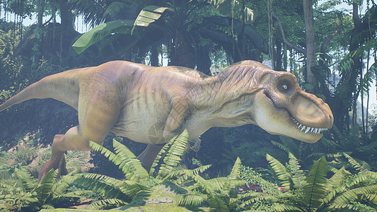 霸王龙恐龙在绿色的史前丛林中慢慢爬上它的猎物 在阳光明媚的早晨欣赏绿色的史前丛林 3D 渲染野生动物捕食者危险爬虫荒野动物情感食图片