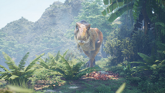霸王龙恐龙在绿色的史前丛林中慢慢爬上它的猎物 在阳光明媚的早晨欣赏绿色的史前丛林 3D 渲染丛林攻击捕食者怪物森林生物情感危险植图片