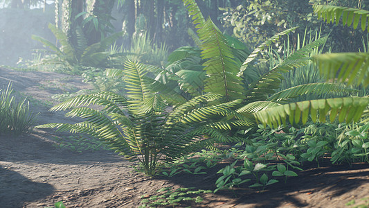 热带雨林中美丽的丛林和绿色蕨类植物 在阳光明媚的早晨 可以看到丛林中的绿色森林 3D 渲染叶子荒野生态旅行旅游环境木头情调雨林棕图片