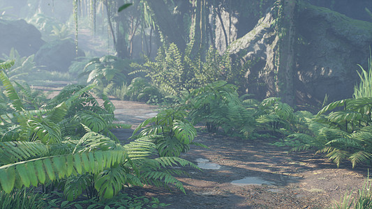 热带雨林中美丽的丛林和绿色蕨类植物 在阳光明媚的早晨 可以看到丛林中的绿色森林 3D 渲染植被情调木头环境花园热带棕榈旅游生态叶图片