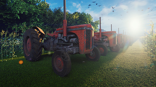 一个旧拖拉机清晨站在玉米田附近 农业和环境 3D 3D 种子收获场地收成谷物天空植物季节小麦生长农民图片